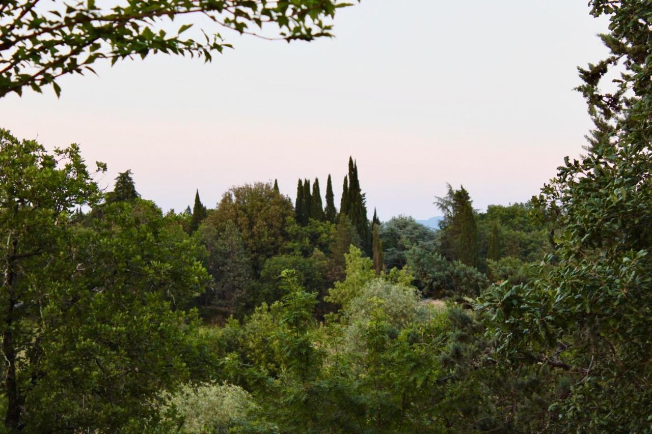 B&B Terre Toscane Ciggiano Eksteriør bilde